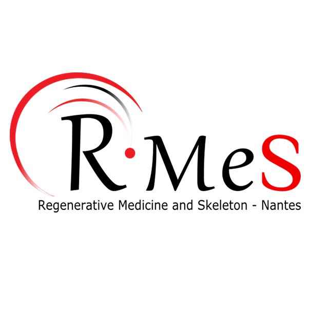 logo RMES